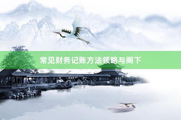 常见财务记账方法领略与阁下