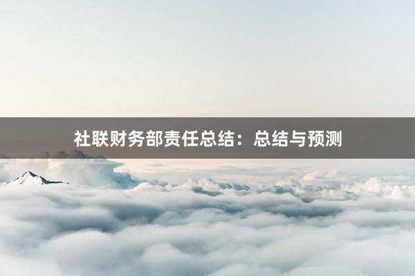 社联财务部责任总结：总结与预测
