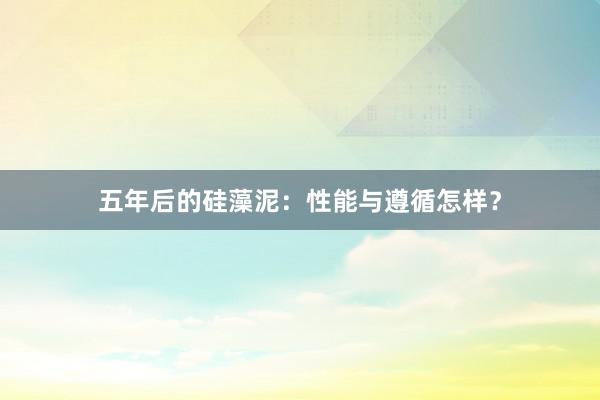 五年后的硅藻泥：性能与遵循怎样？