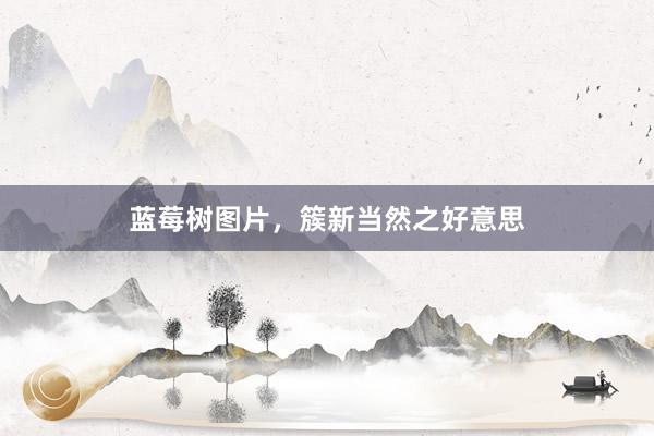 蓝莓树图片，簇新当然之好意思
